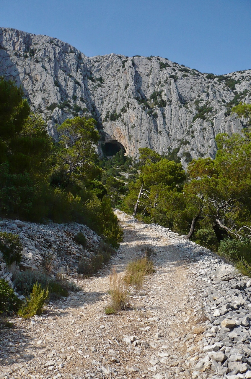 P1030479 (850x1280).jpg