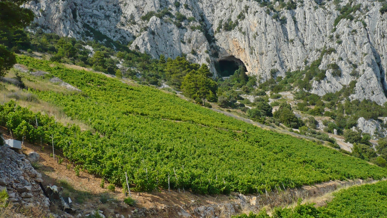 P1030480 (1280x720).jpg