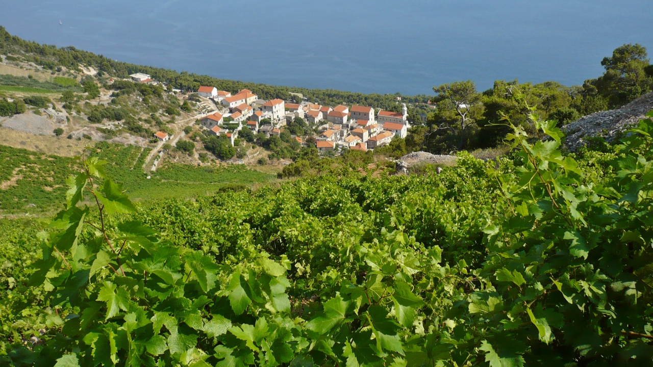 P1030481 (1280x720).jpg