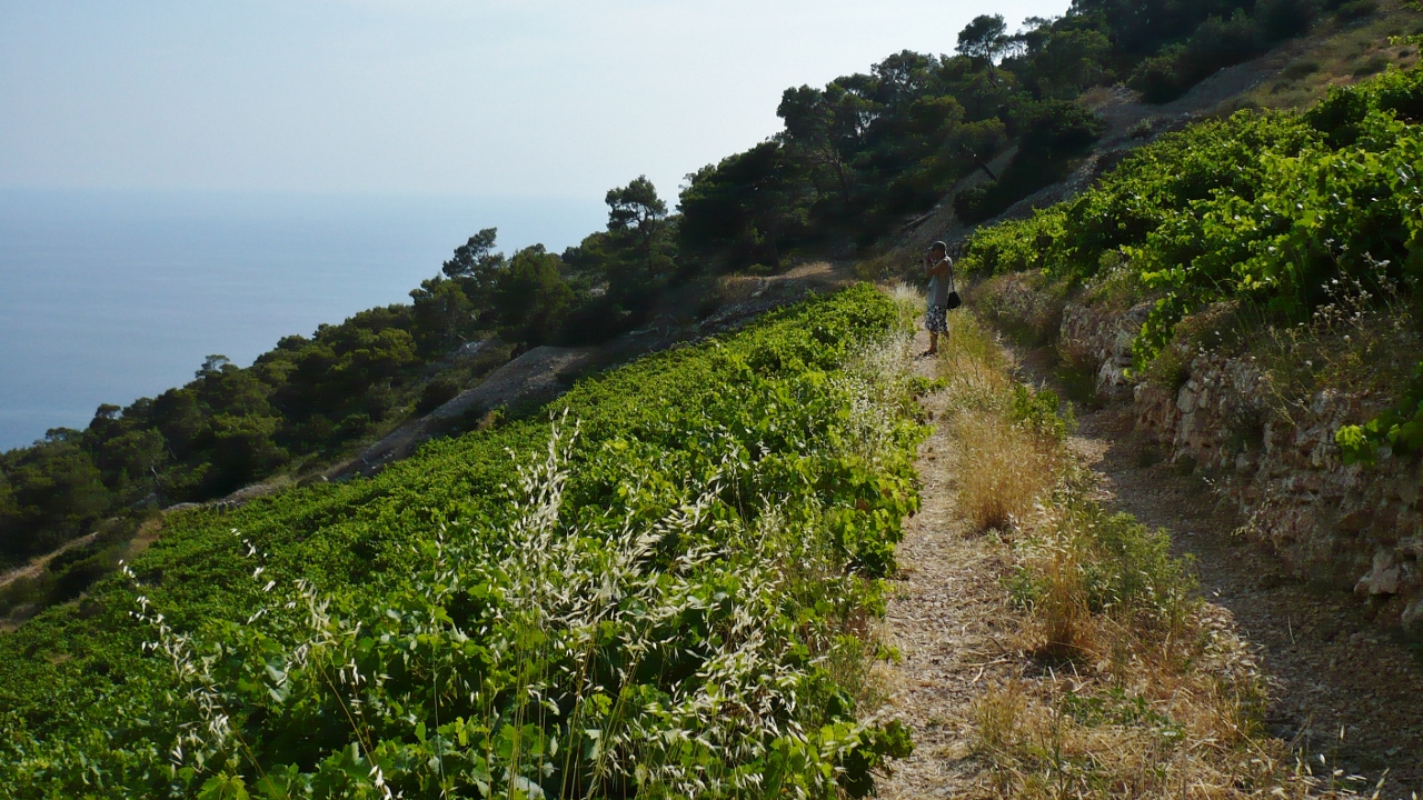 P1030484 (1280x720).jpg