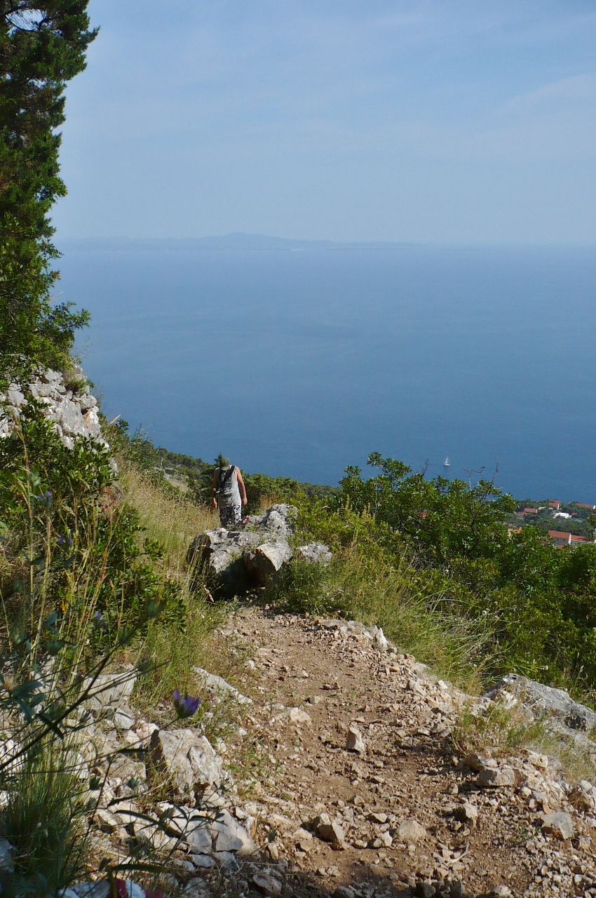 P1030487 (850x1280).jpg