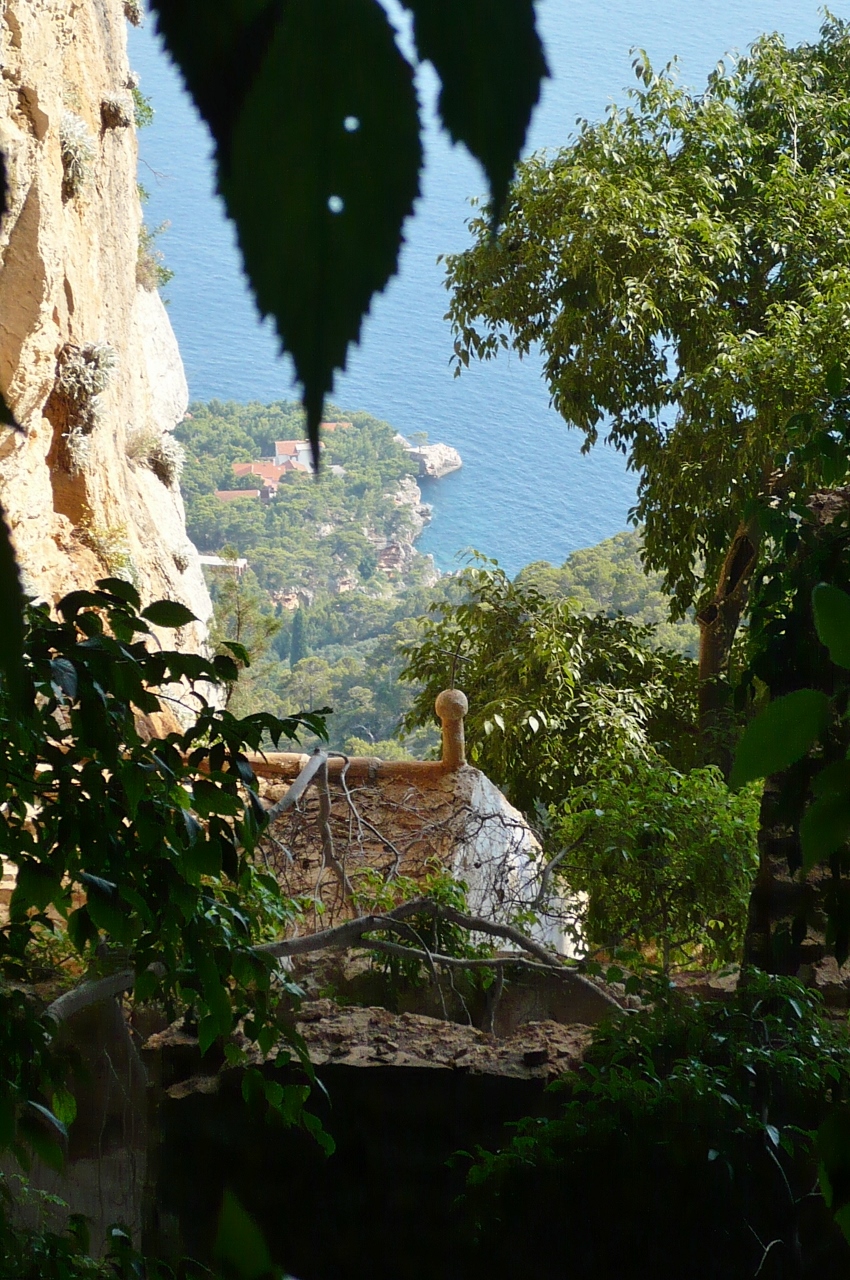 P1030497 (850x1280).jpg