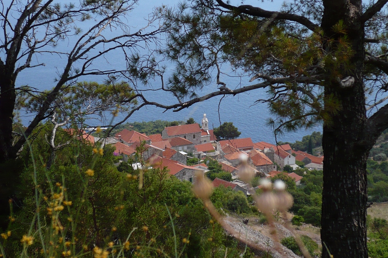 P1030508 (1280x850).jpg