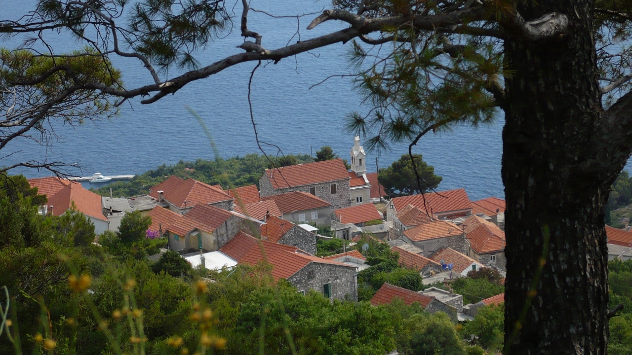 P1030510 (1280x720).jpg