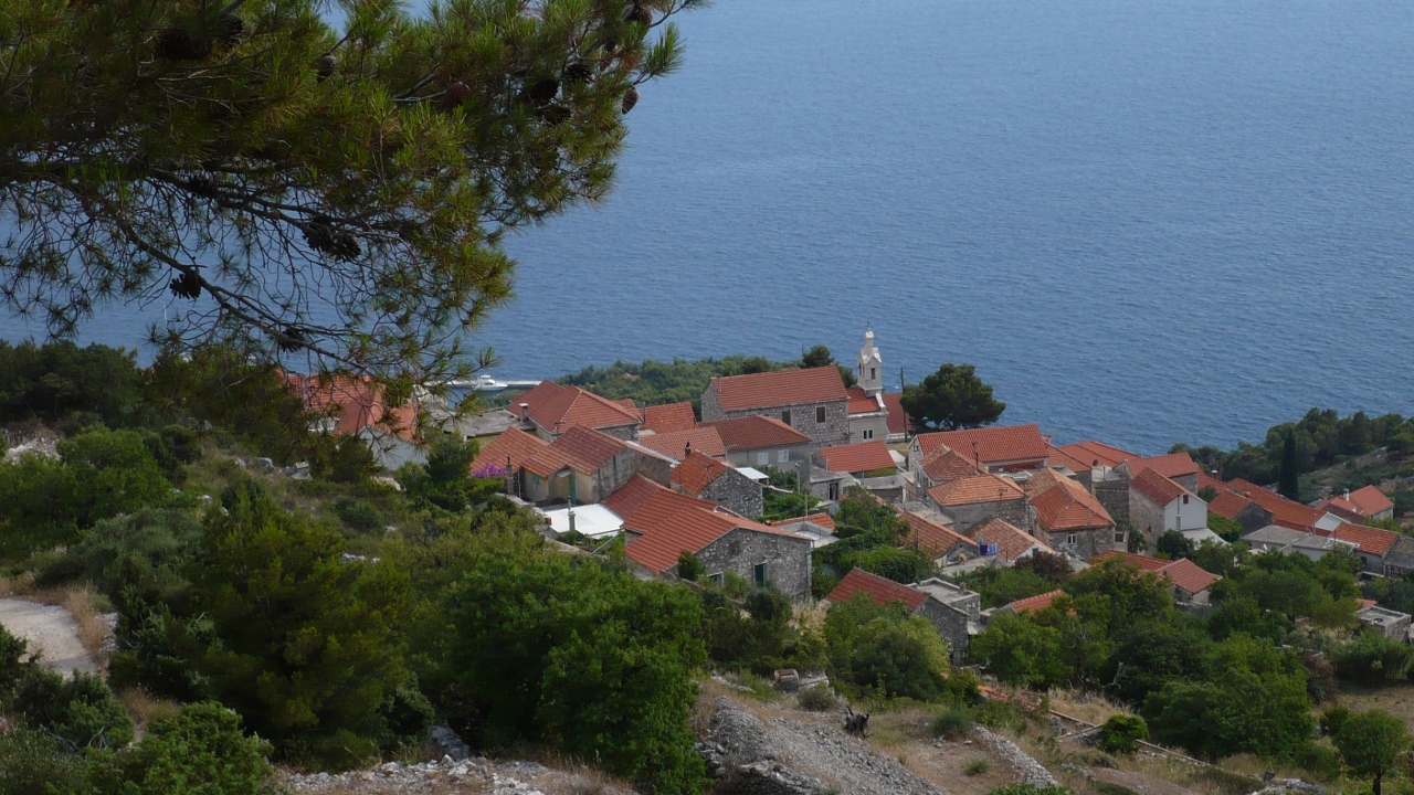 P1030511 (1280x720).jpg