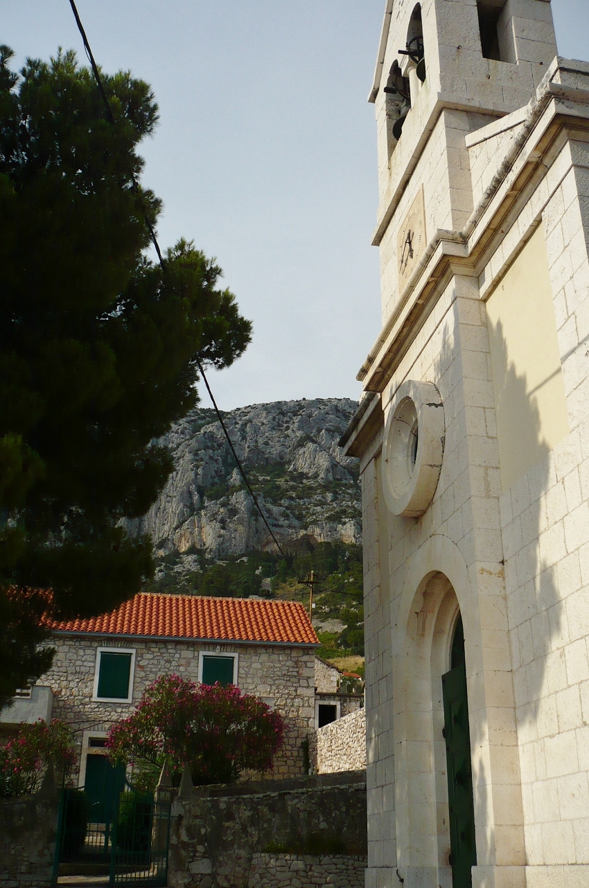 P1030517 (850x1280).jpg