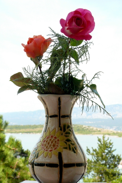 P1060981a [a].jpg