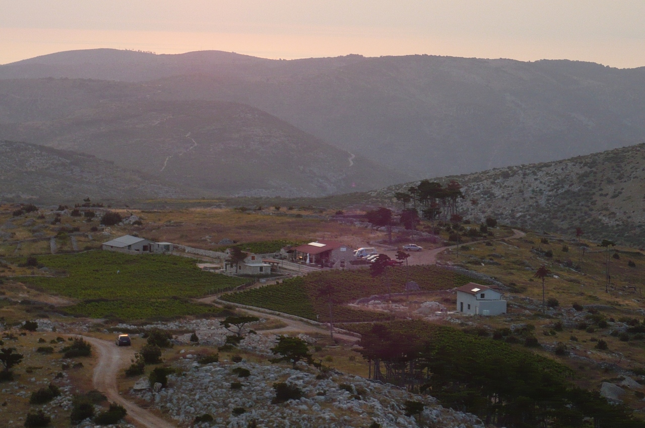 P1030667 (1280x850).jpg