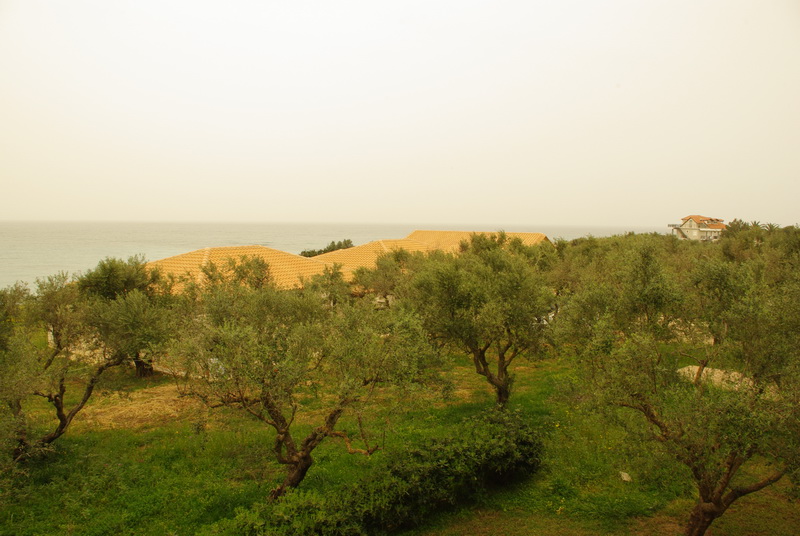 Zakynthos - studia Kavos Psarou, należące do naszego przyjaciela Nikosa. Piękne miejsce wśród gajów oliwnych i drzew cytrynowych, położone tuż nad morzem. / IMGP9781_resize.JPG IMGP9781_resize.JPG