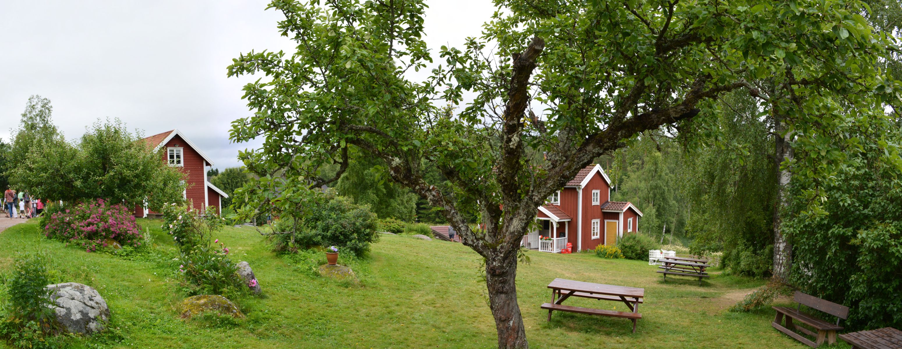 2013_07_10 12_39_08.JPG