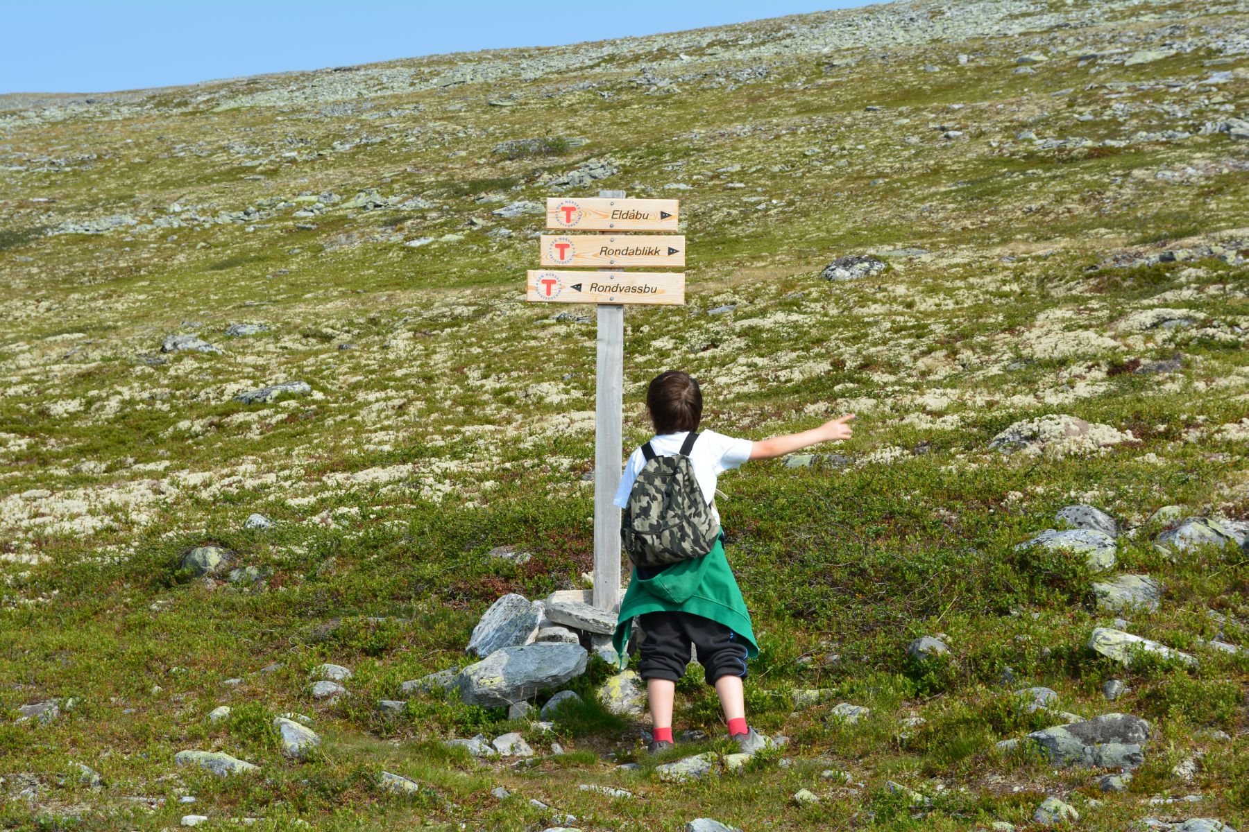 2013_07_12 16_38_20.JPG