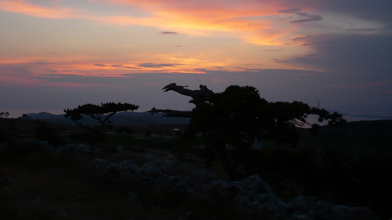 P1030689 (1280x720).jpg