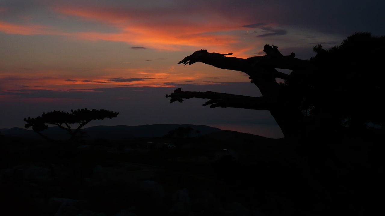 P1030691 (1280x720).jpg