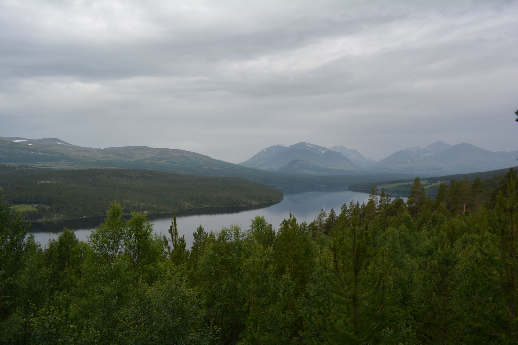 2013_07_13 08_59_15.JPG