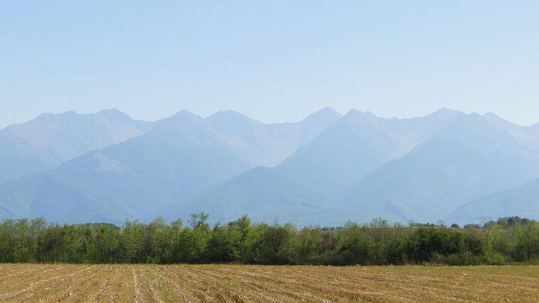 DSC05176 - Kopia.JPG