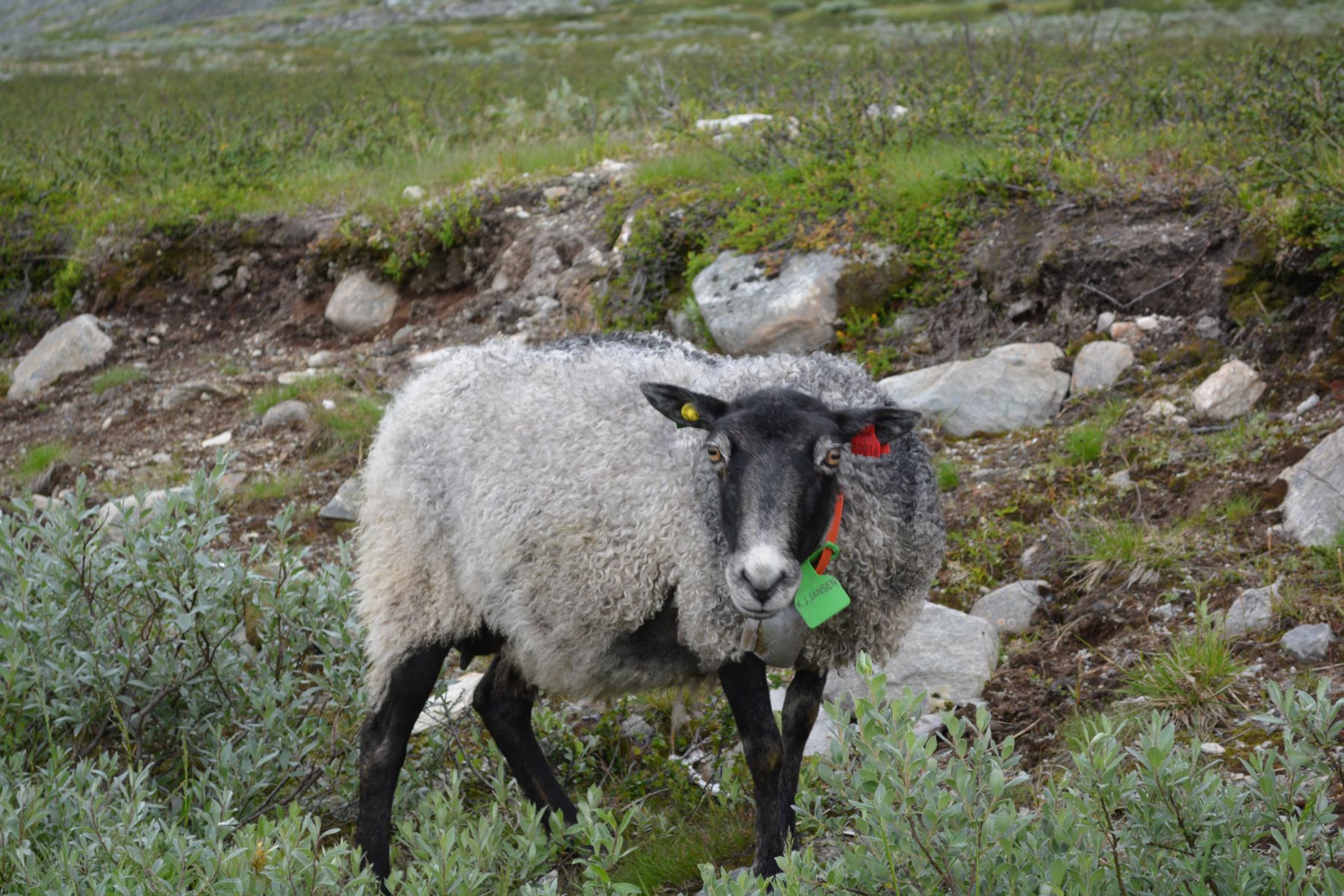 2013_07_17 11_24_07.JPG