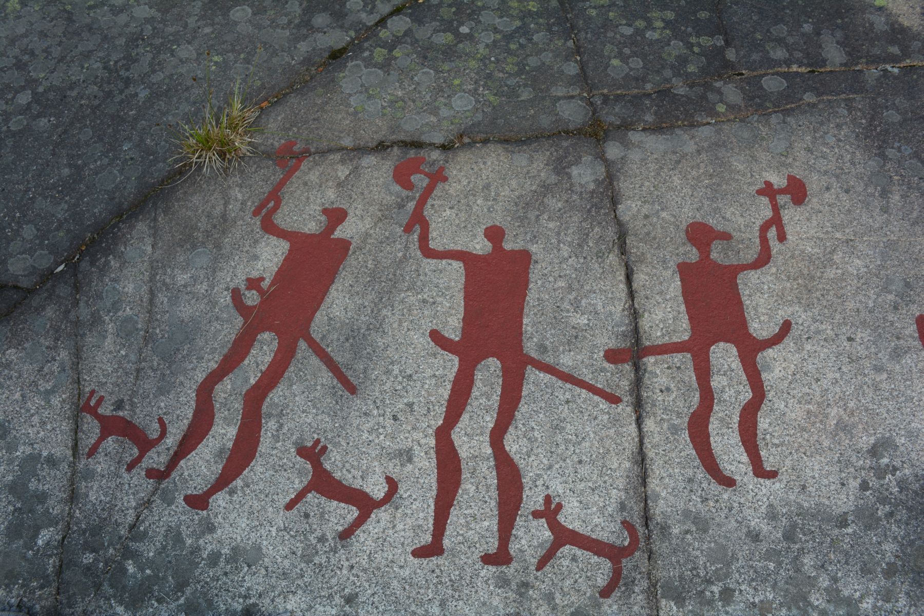 2013_07_18 08_09_57.JPG