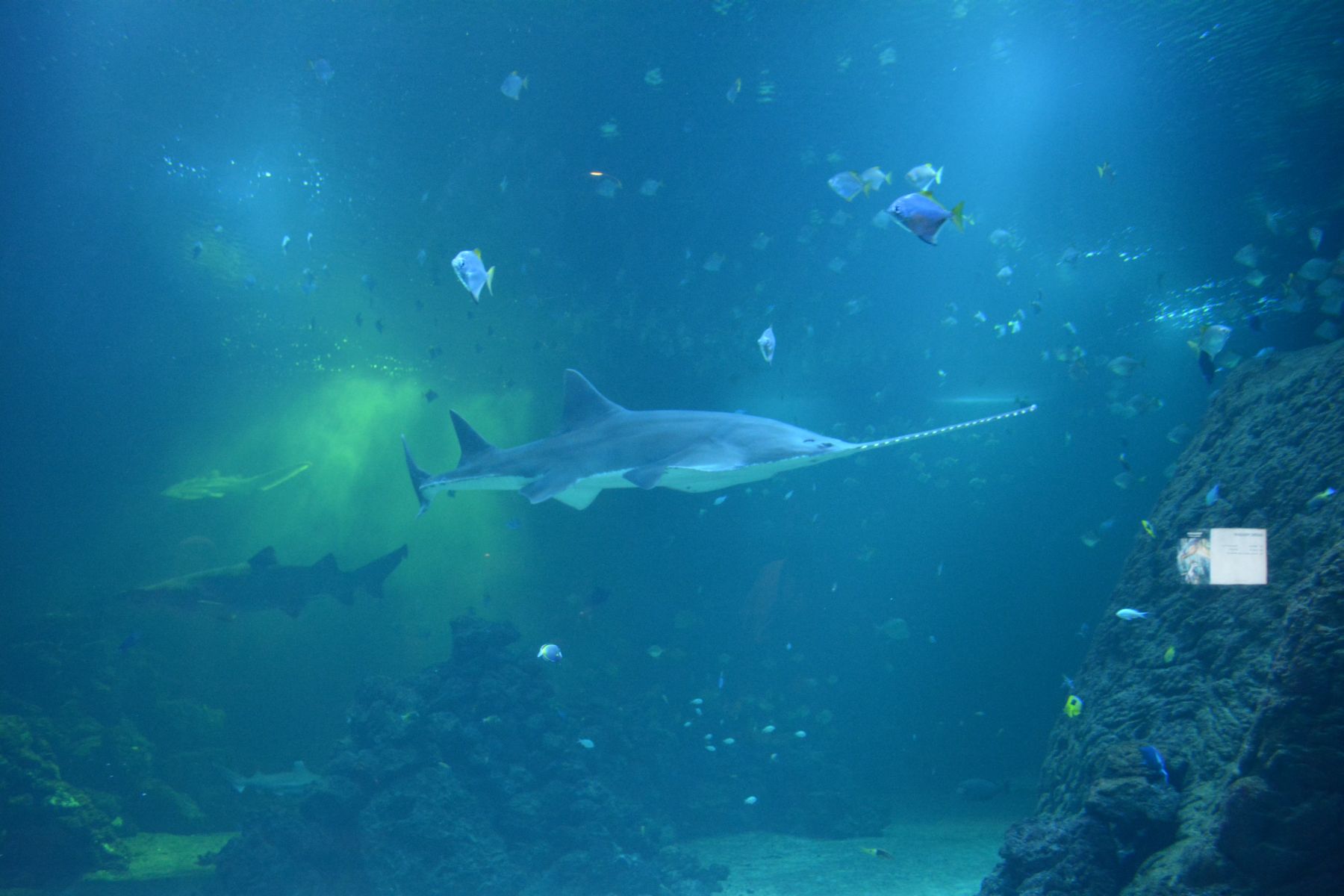 2013_07_19 12_05_10.JPG