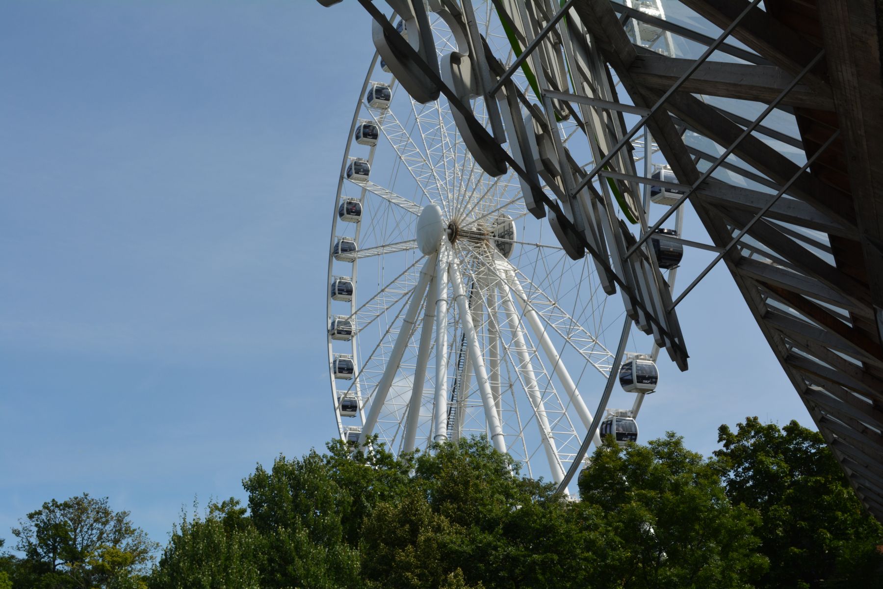 2013_07_19 12_33_52.JPG