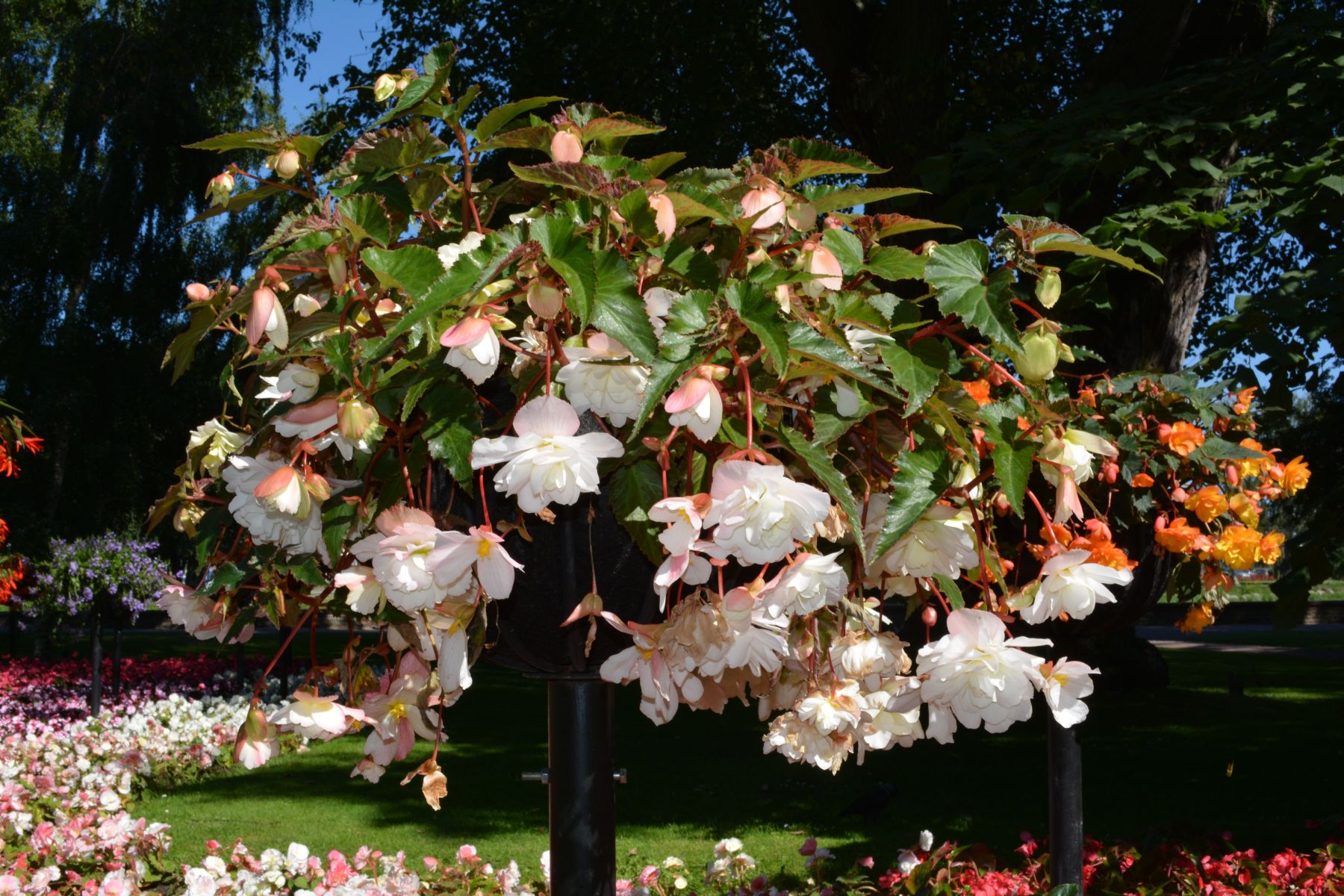 2013_07_21 15_25_20.JPG