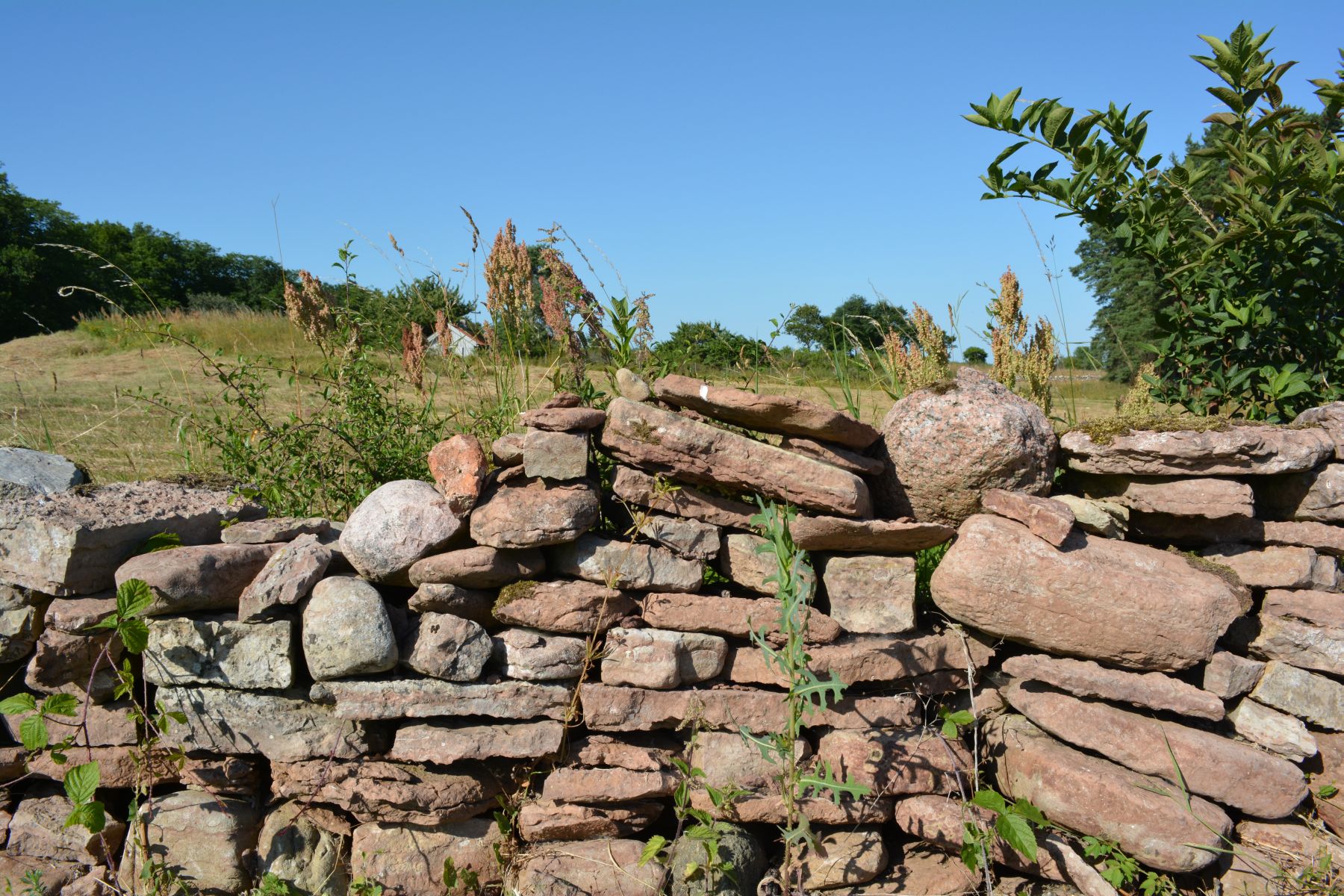 2013_07_21 17_05_37.JPG