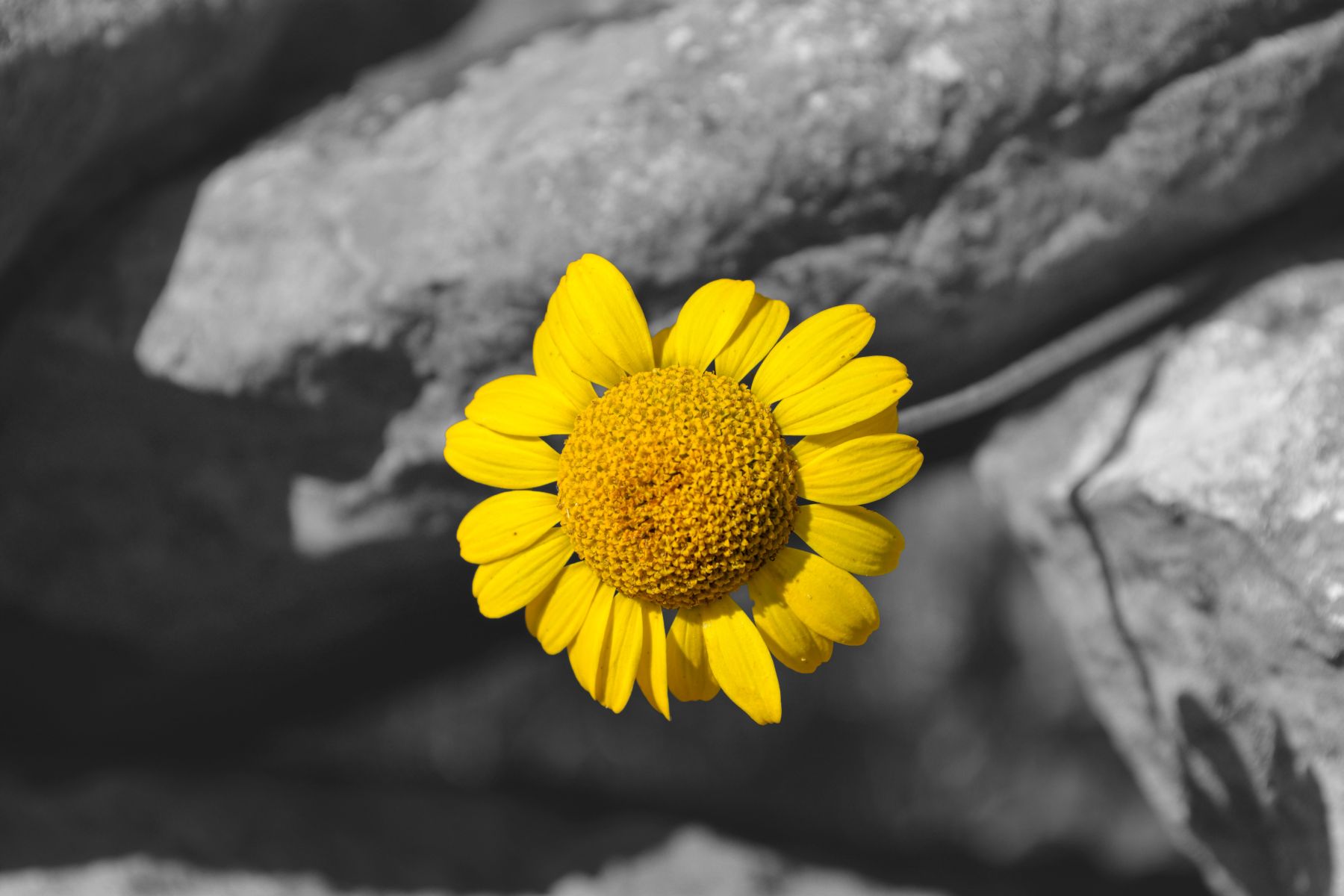 2013_07_21 17_08_04.JPG