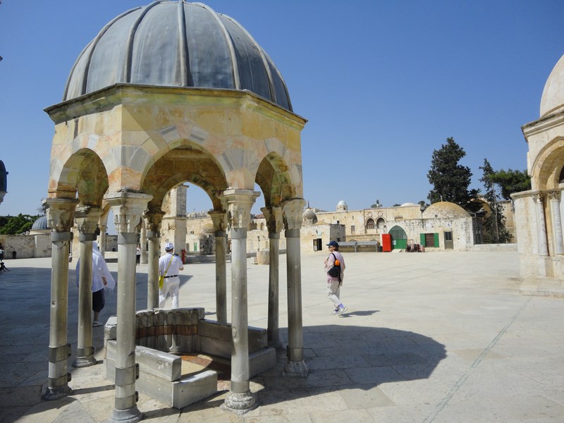 DSC01595 (Kopiowanie).JPG