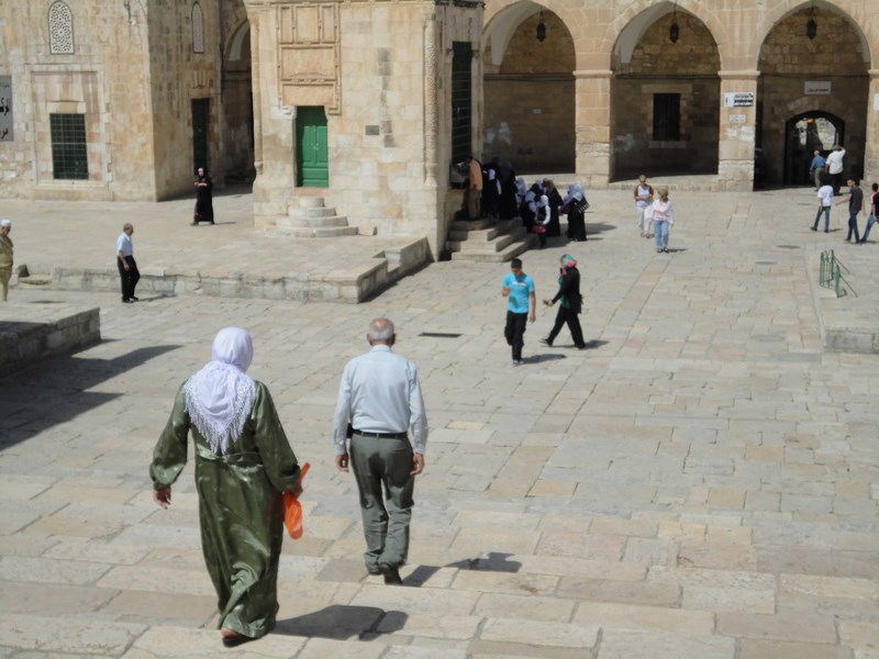 DSC01605 (Kopiowanie).JPG