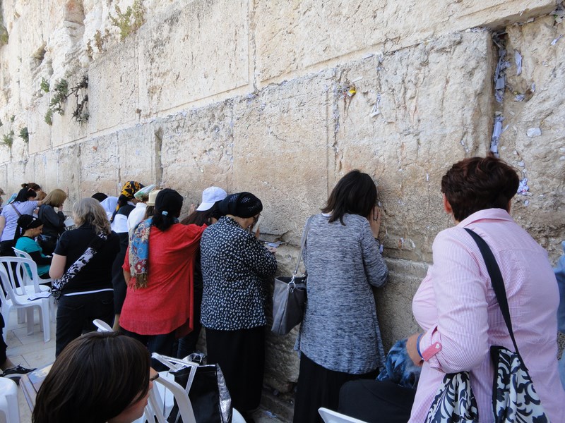 DSC01613 (Kopiowanie).JPG