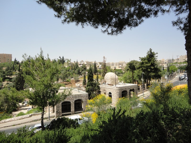 DSC01685 (Kopiowanie).JPG