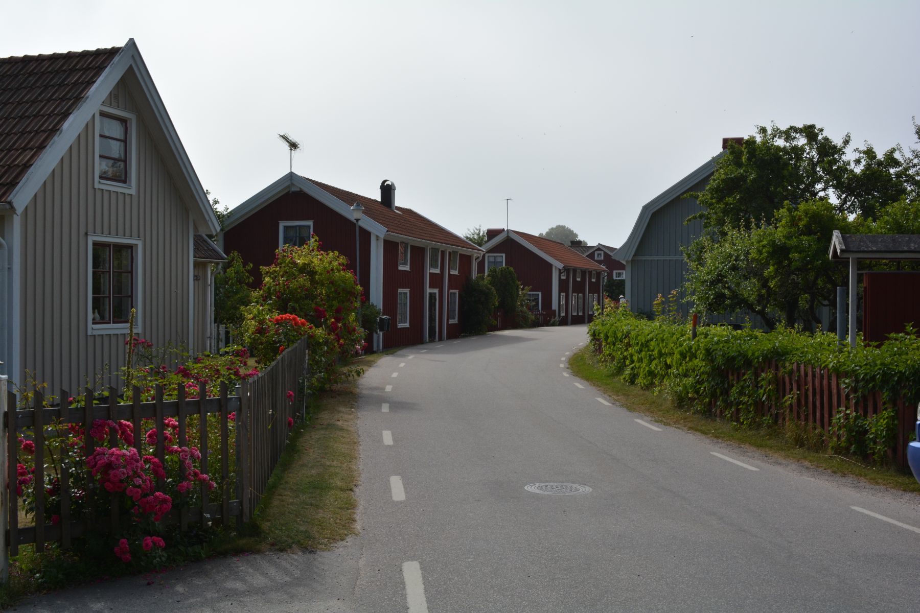 2013_07_22 09_50_37.JPG