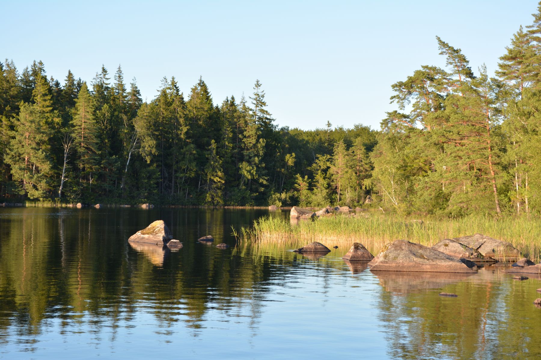 2013_07_22 20_16_12.JPG