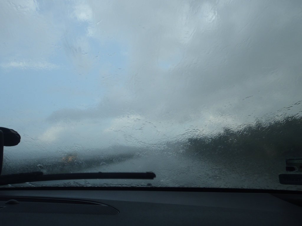 P9110603 (1024x768).jpg