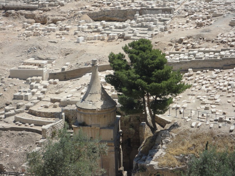 DSC01922 (Kopiowanie).JPG