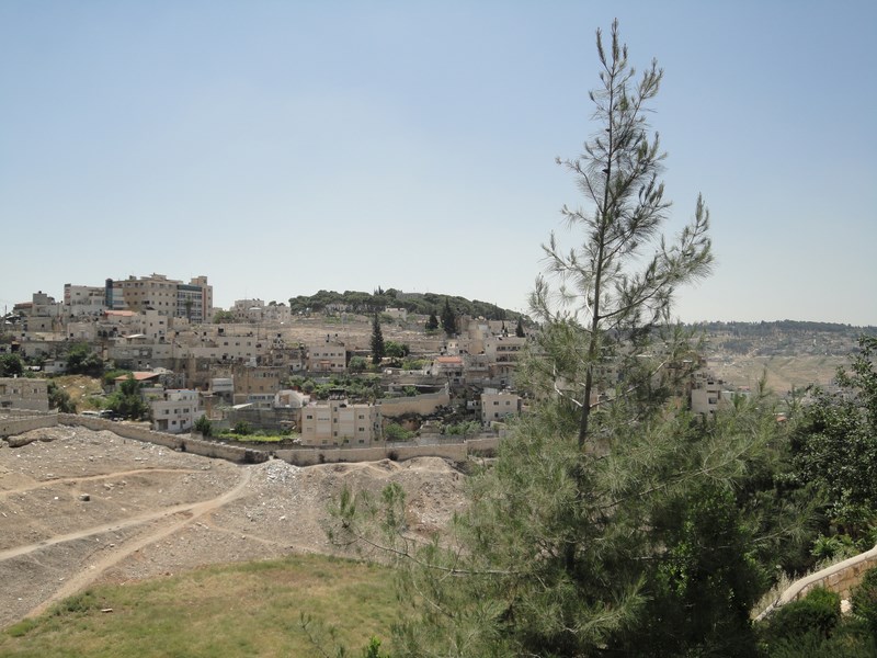 DSC01927 (Kopiowanie).JPG