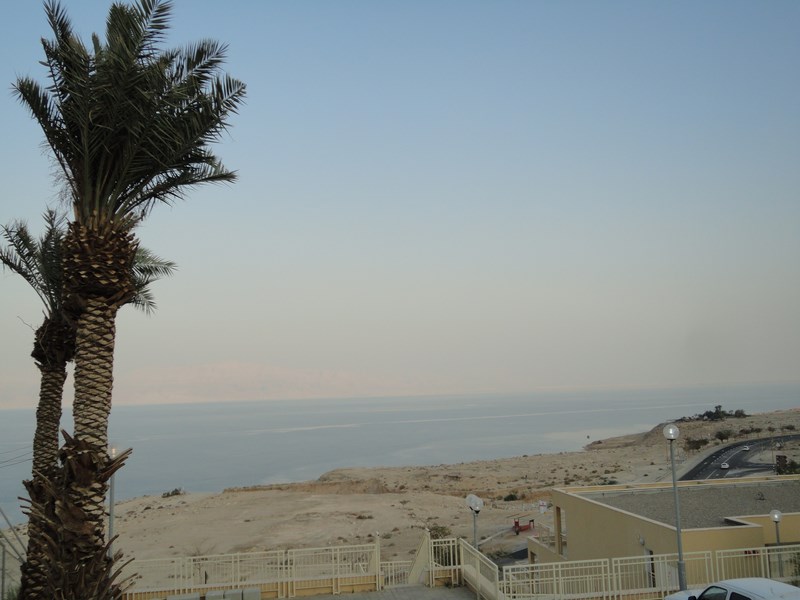 DSC02344 (Kopiowanie).JPG