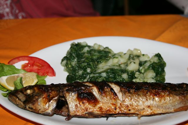 IMG_2508 [640x480].JPG