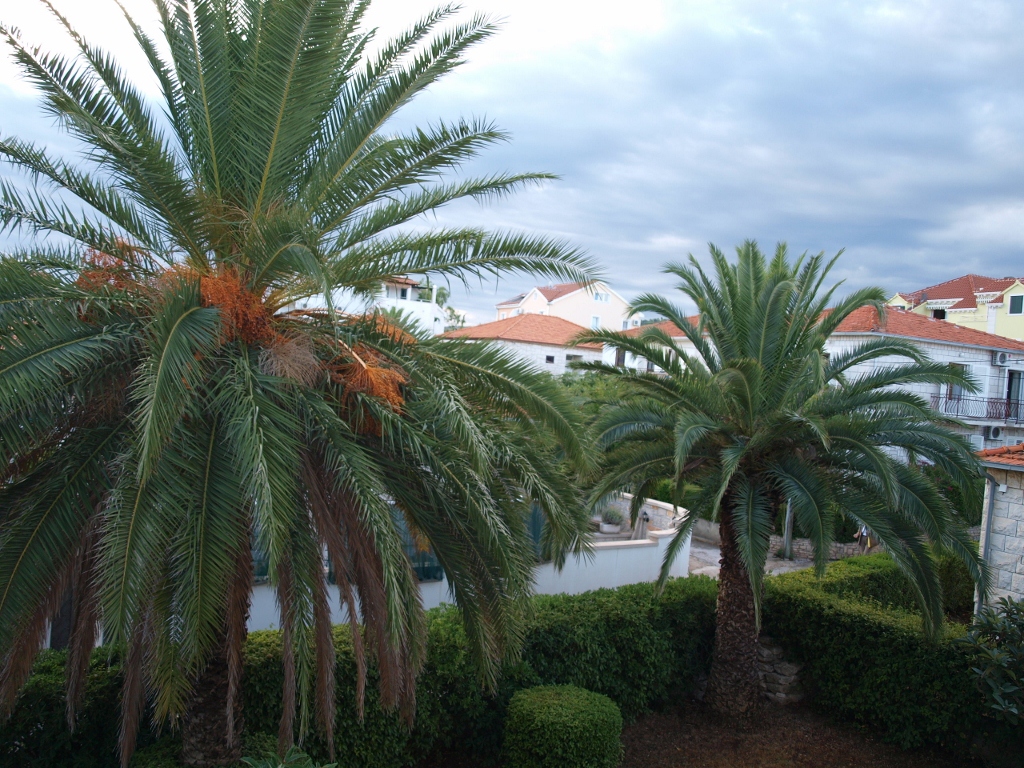 P9129225 (1024x768).jpg