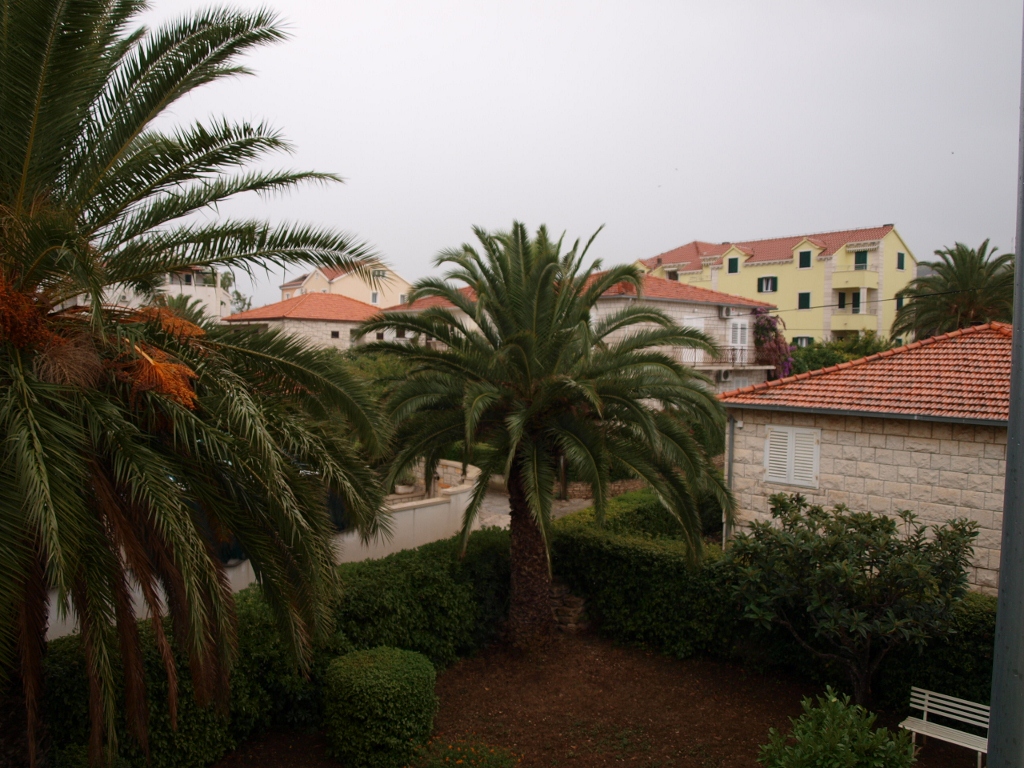 P9129252 (1024x768).jpg