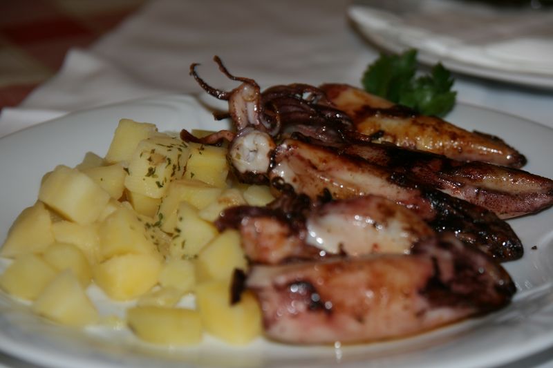 IMG_1771 [800x600].JPG