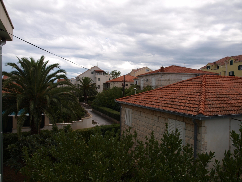 P9129257 (1024x768).jpg