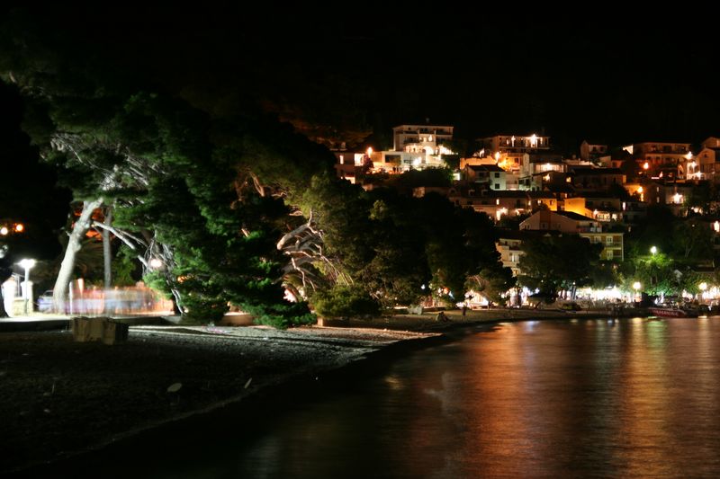 IMG_2775 [800x600].JPG