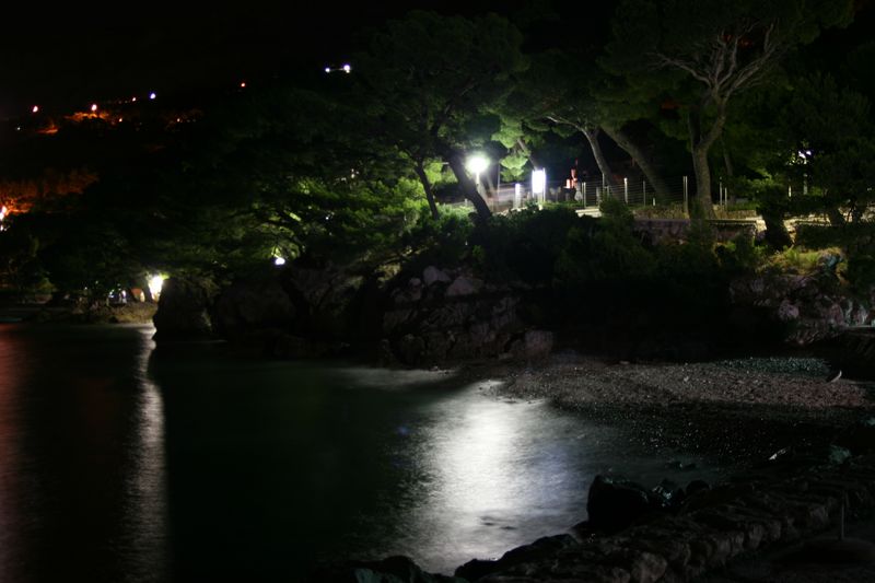 IMG_2794 [800x600].JPG