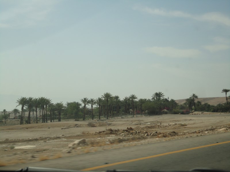 DSC02402 (Kopiowanie).JPG