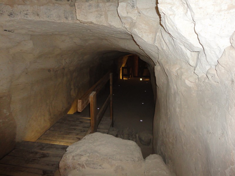 DSC02614 (Kopiowanie).JPG