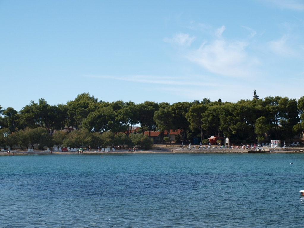 P9139506 (1024x768).jpg