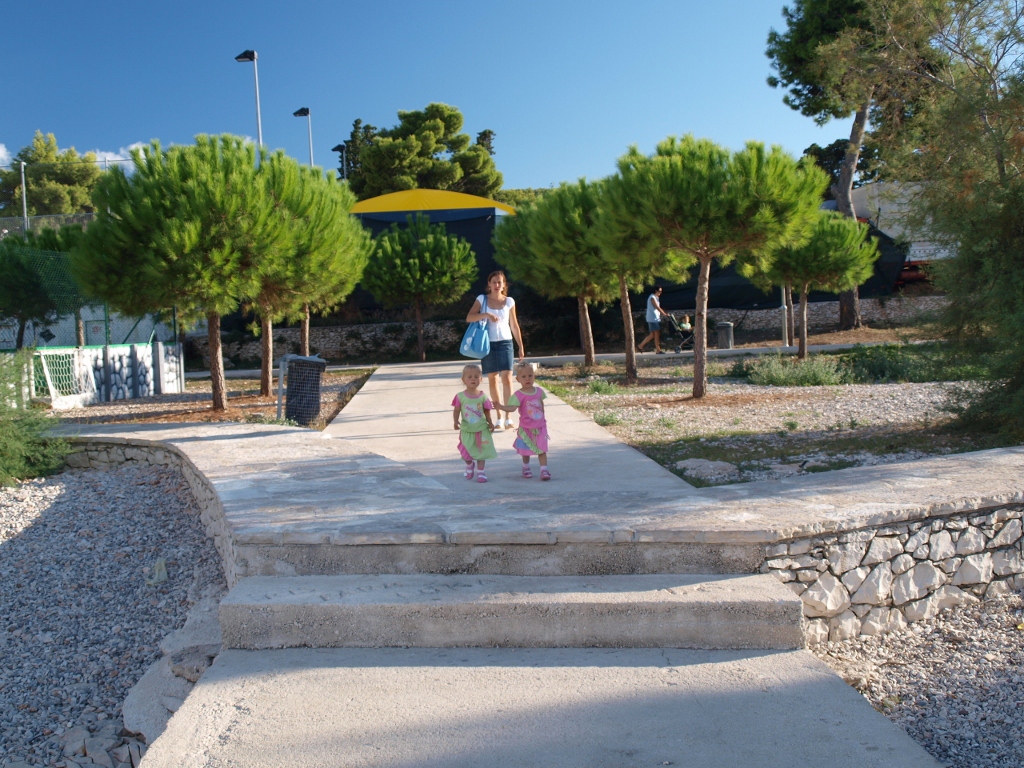 P9139534 (1024x768).jpg