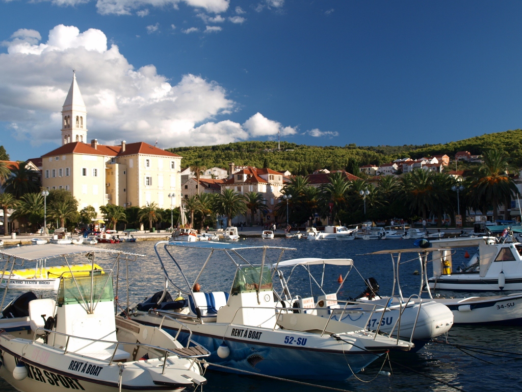 P9139555 (1024x768).jpg