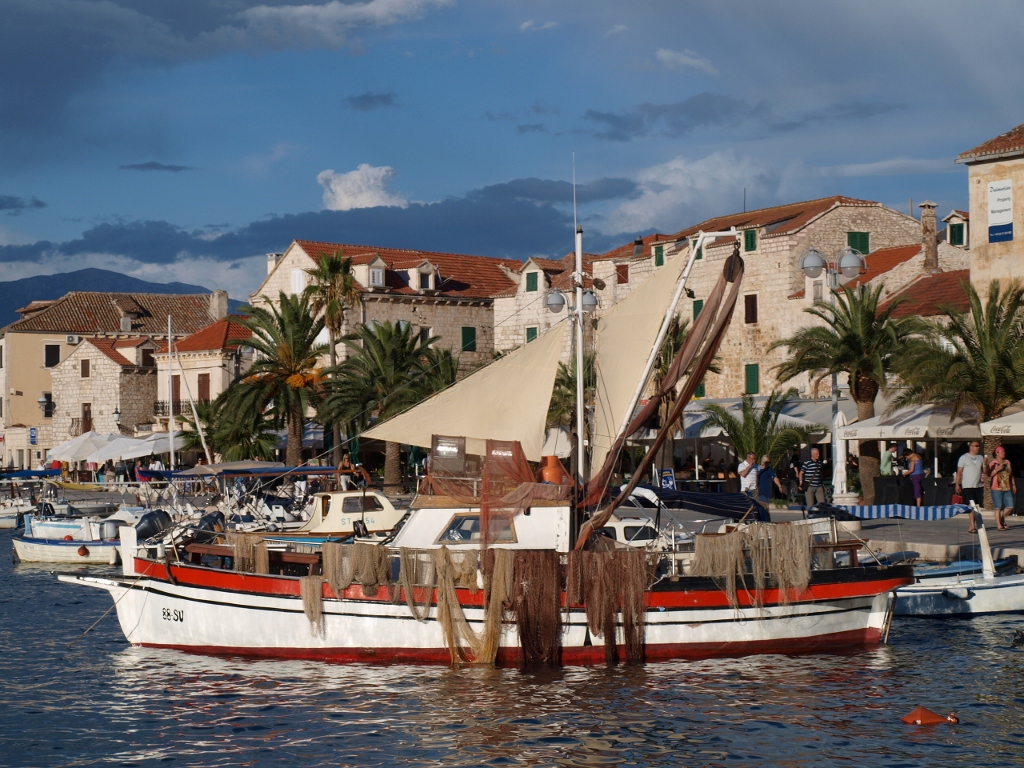 P9139563 (1024x768).jpg