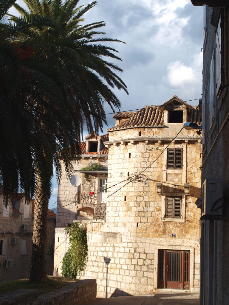 P9139573 (768x1024).jpg